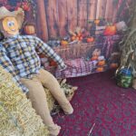 WhatsApp Image 2025-10-17 at 19.13.54 (14)